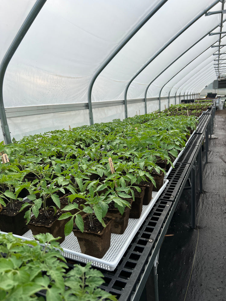 Spring Plant Sale Pre-Order