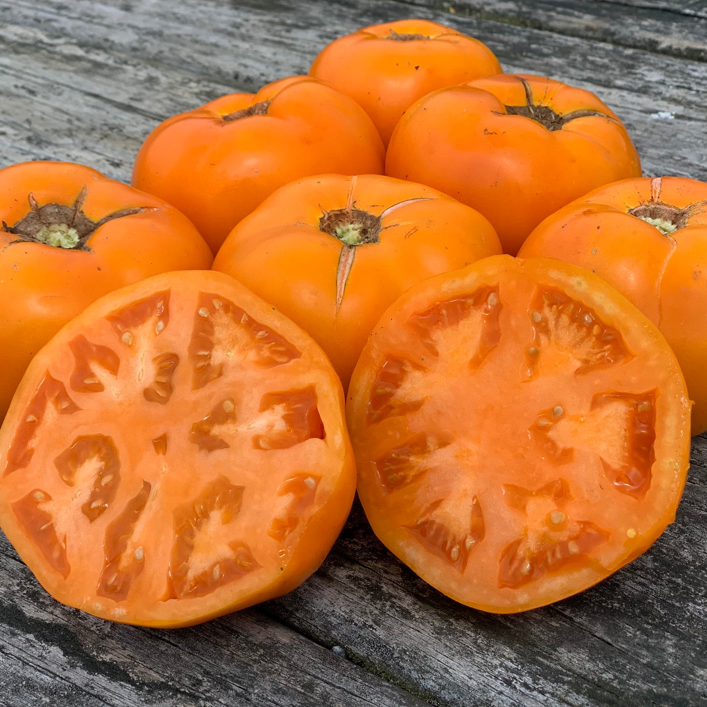 Persimmon Tomato