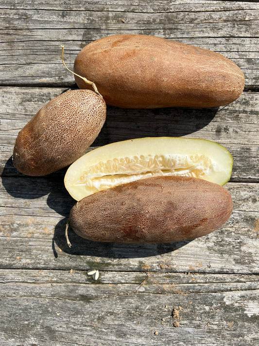 Poona Kheera Cucumber