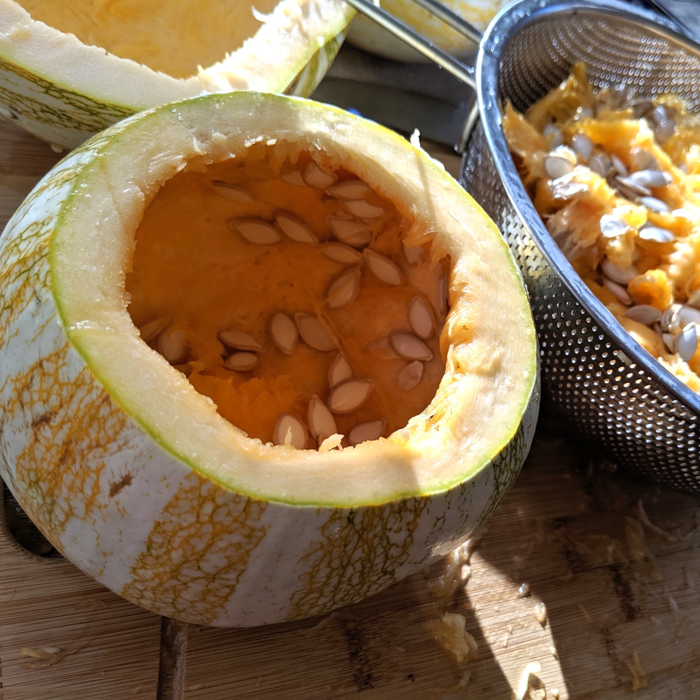 Green Striped Cushaw Squash