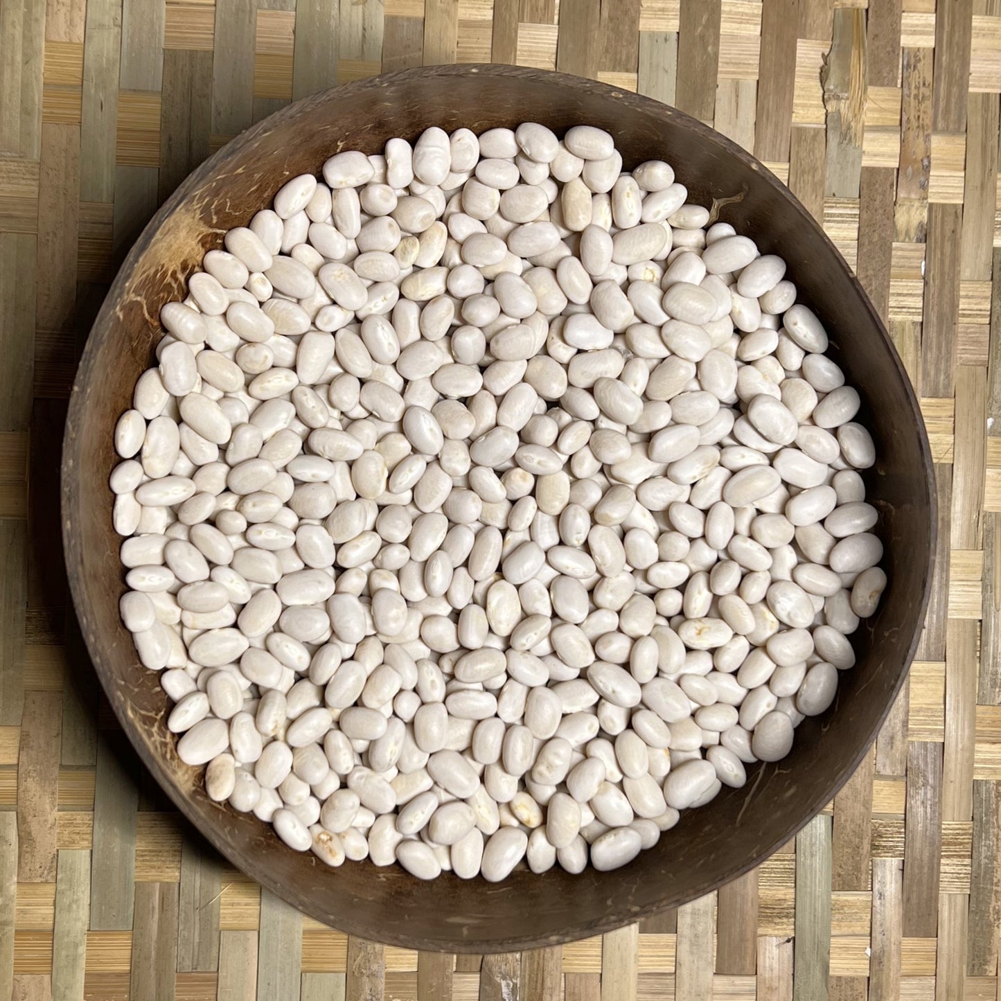 Navy Bean