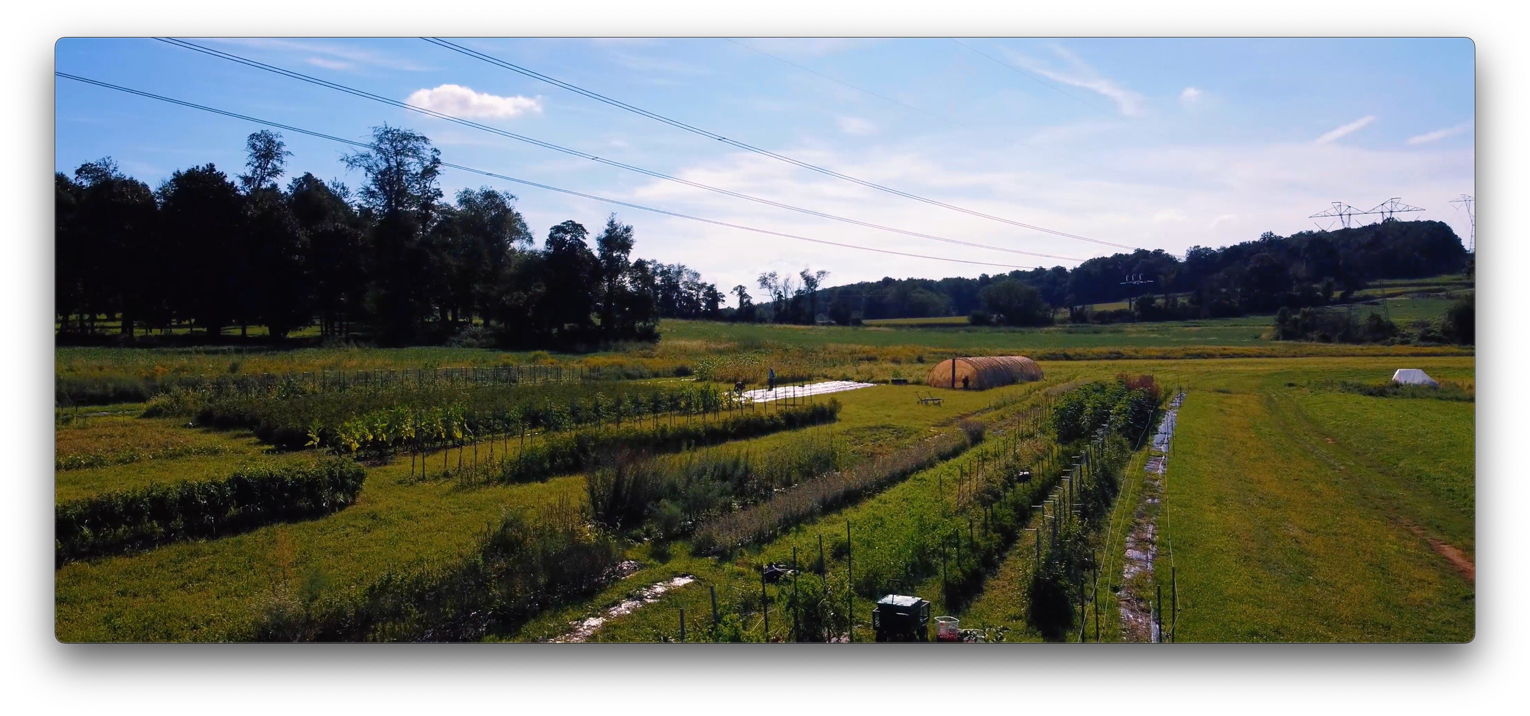 Load video: drone footage of the Sistah Seeds farm