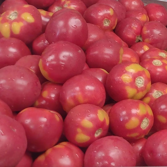 Plate de Haiti Tomato