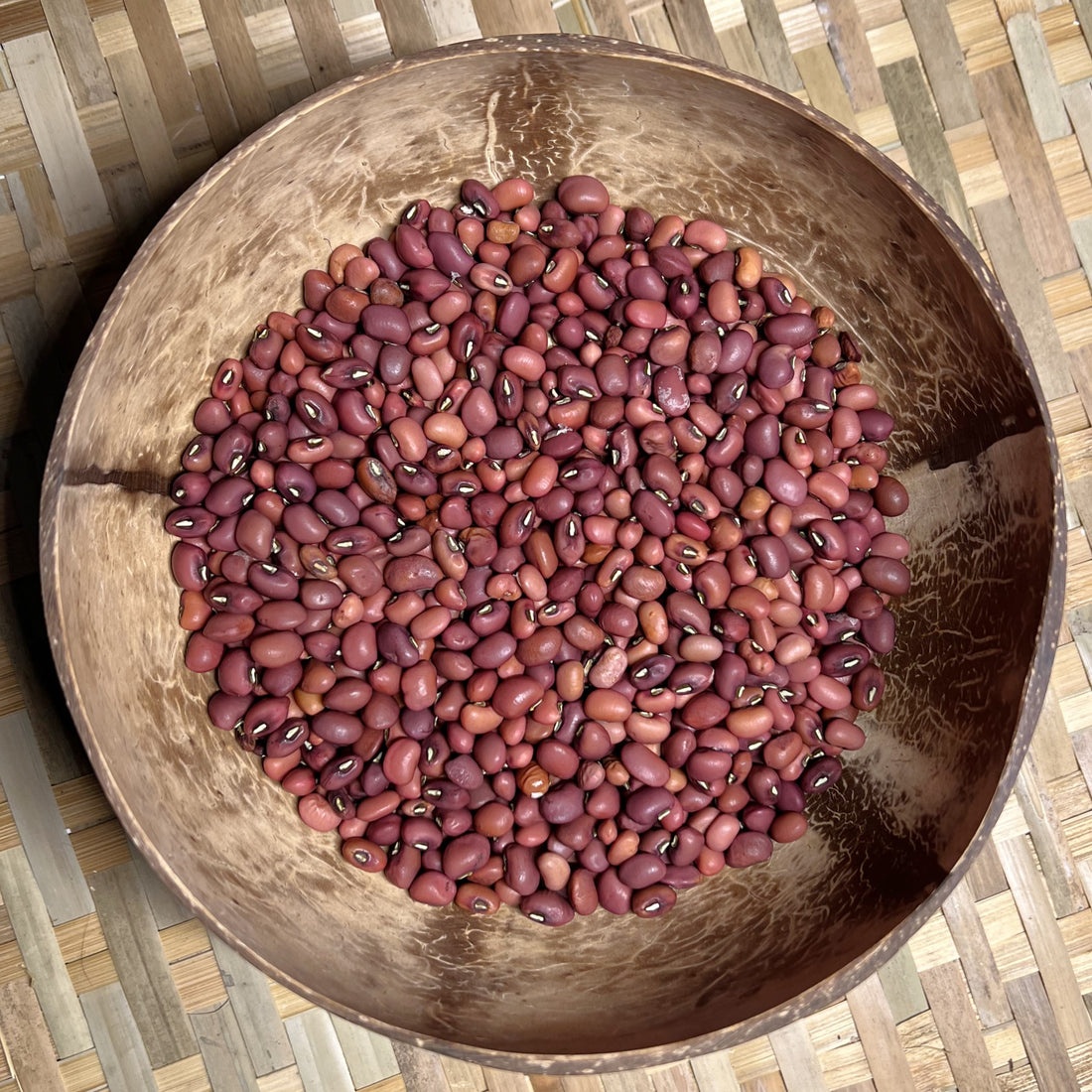 Sea Island Red Pea Sistah Seeds
